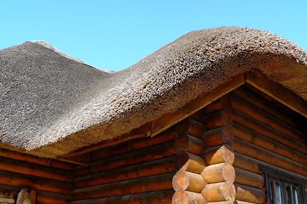 Тростниковая крыша для колодца